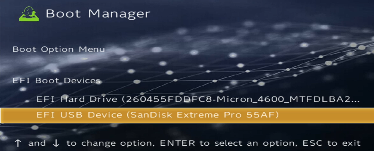 BIOS Boot Manager showing USB device